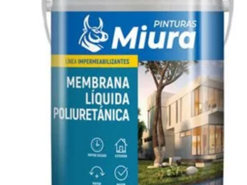 Membrana Líquida Poliuretánica en Juncal  - Ferreteros | Construex