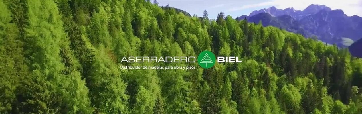 BIEL Aserradero | Construex