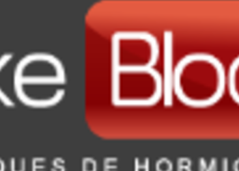 BLOQUE LISO PARA MUROS DE 15 CM SILKEBLOCK - SILKE BLOCK 