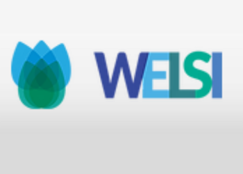 FLOTARIO  WELSI BUENOS AIRES  - WELSI