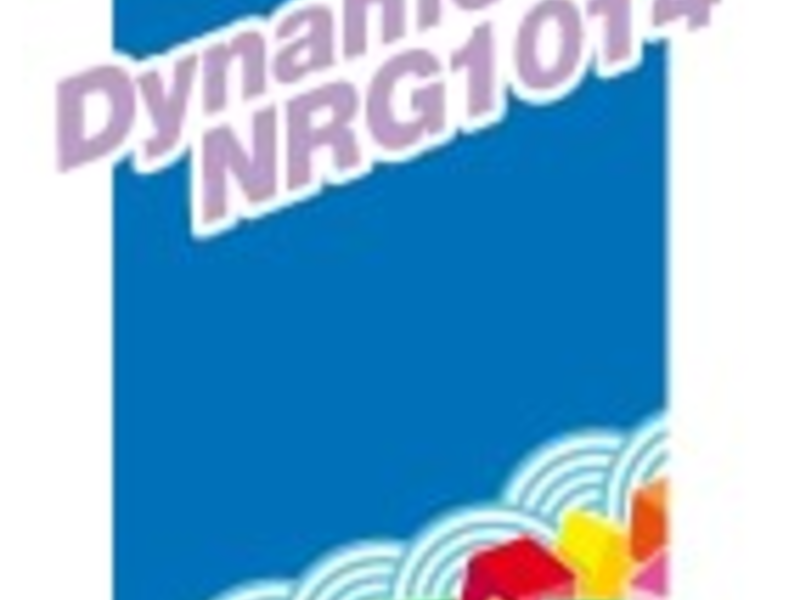 DYNAMON NRG 1014 MAPEI ARGENTINA